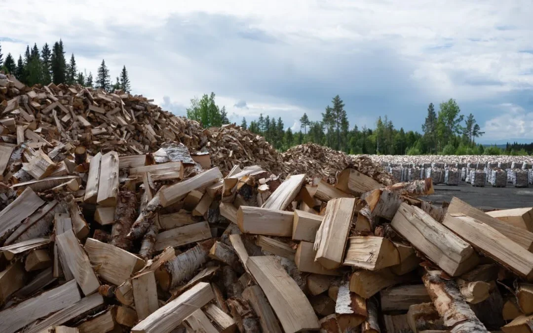 Stora högar kluven björkved framför den jämtländska skogen