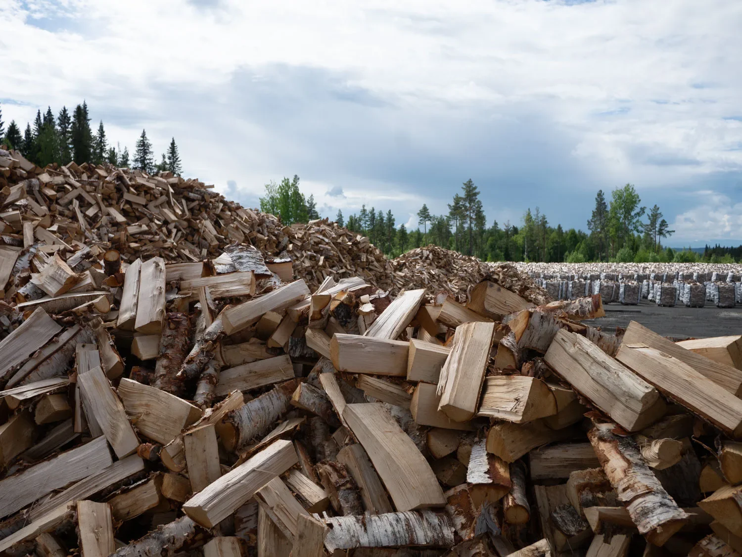 Stor hög med kluven björkved utomhus i Jämtland
